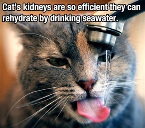 15 Interesting Things You Might Not Know About .